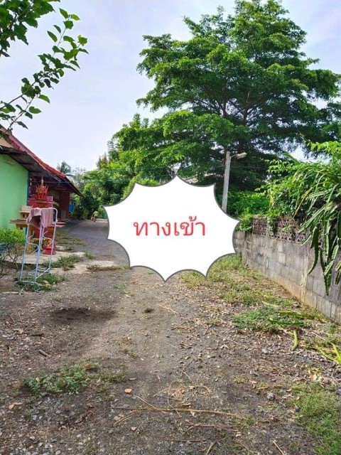 ขายที่ดิน อ.เมือง ซ.โรงเรือ พังงา 1งาน 12ตร.ว