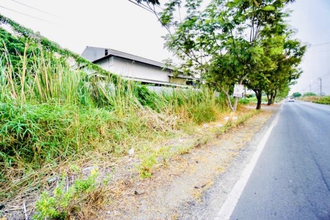 ขาย โกดัง ถนนร่วมพัฒนา พื้นที่ใช้สอย 500 ตรม. 2 งาน 69 ตร.วา ทำเลเยี่ยมติดถนนใหญ่ เหมาะทำโกดัง โรงงา