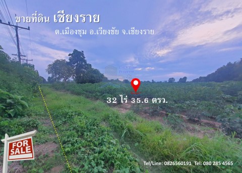 ขาย ที่ดิน ทำเลดี ที่ดินเชียงราย  32 ไร่ 35.6 ตร.วา ติดทางหลวงแผ่นดิน 1173