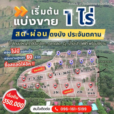 ขายที่ดินสด-ผ่อนไม่มีดอกเบี้ย ซื้อสดลดให้อีกที่ดินดงบัง 2 ไร่ ประจันตคาม ใกล้ตลาดสดชุมชน เหมาะปลูกบ้