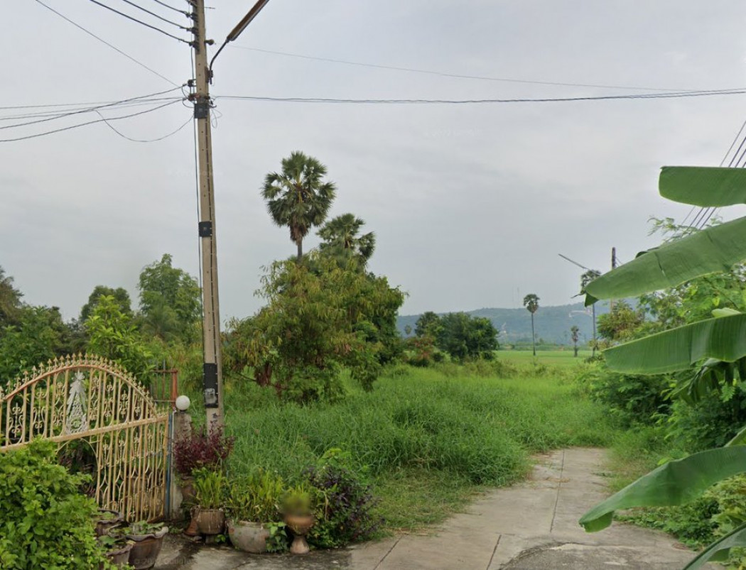 ขายที่ดินติดหมู่บ้านวังทองธานี เนื้อที่ 2 ไร่ ใกล้ถนนเส้นพิษณุโลก-วังทอง12(สามแยกวังทอง)-500เมตร อ.ว