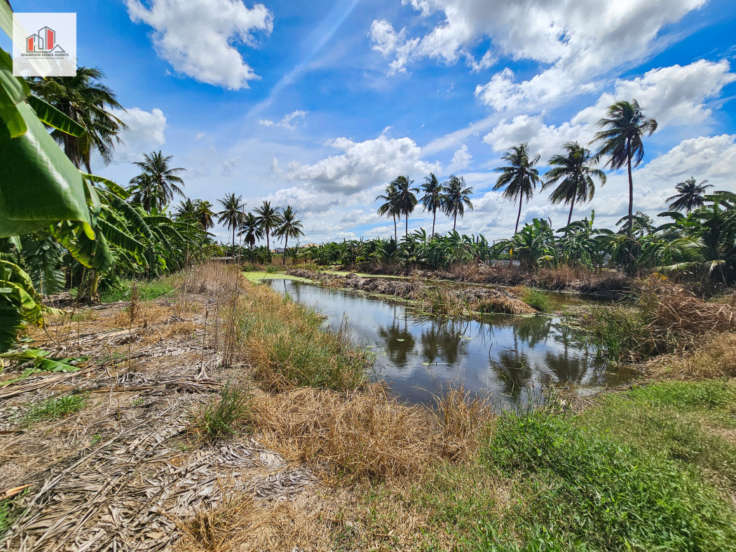 ขาย ที่ดิน แปลงใหญ่-ใกล้ถนนเพชรเกษม หมู่บ้านเศรษฐกิจ บางแค 8 ไร่ 56 ตรว