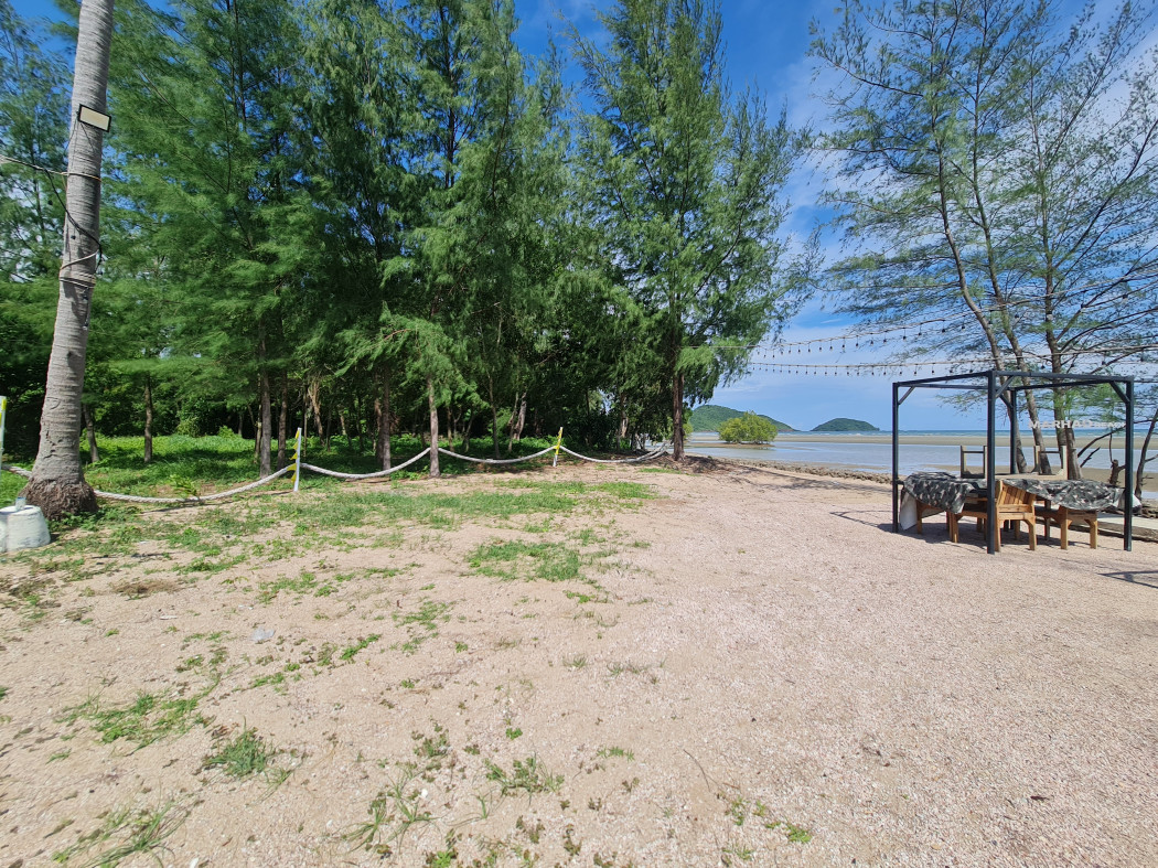 ขาย ที่ดิน ติดชายหาดเจ้าหลาว จันทบุรี 12 ไร่ บรรยากาศดีมาก​ เหมาะทำรีสอร์ทริมทะเล