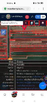 ขาย ที่ดิน 
~ TP-PT 0013
~ คลอง 8 หนองเสือ บึงบอน 100 ตร.วา