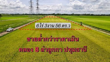 ขาย ที่ดิน 
~ TP-PV 0001
~ ลำลูกกา หลังวัดดอนใหญ่
~ อยู่ในแหล่งชุมชน
~ อยู่ในพื้นที่แหล่งอำนวยคว