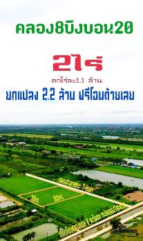 ขาย ที่ดิน 
~ TP-PS 0007
~ คลอง 8 หนองเสือ บึงบอน 20 และ
~ คลอง 7 หนองเสือ บึงบอน 2 ไร่