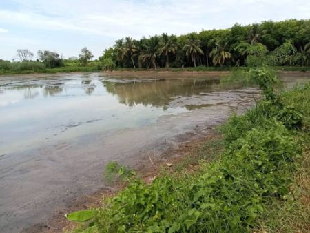 ขาย ที่ดิน 
~ TP - TEE 0084
~ คลอง 9 หนองเสือ ปทุมธานี 1 ไร่