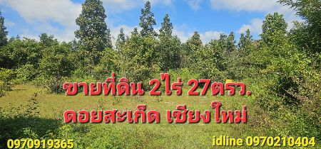 ขาย ที่ดิน  2 ไร่ 27 ตร.วา ต.ลวงเหนือ ดอยสะเก็ด เชียงใหม่