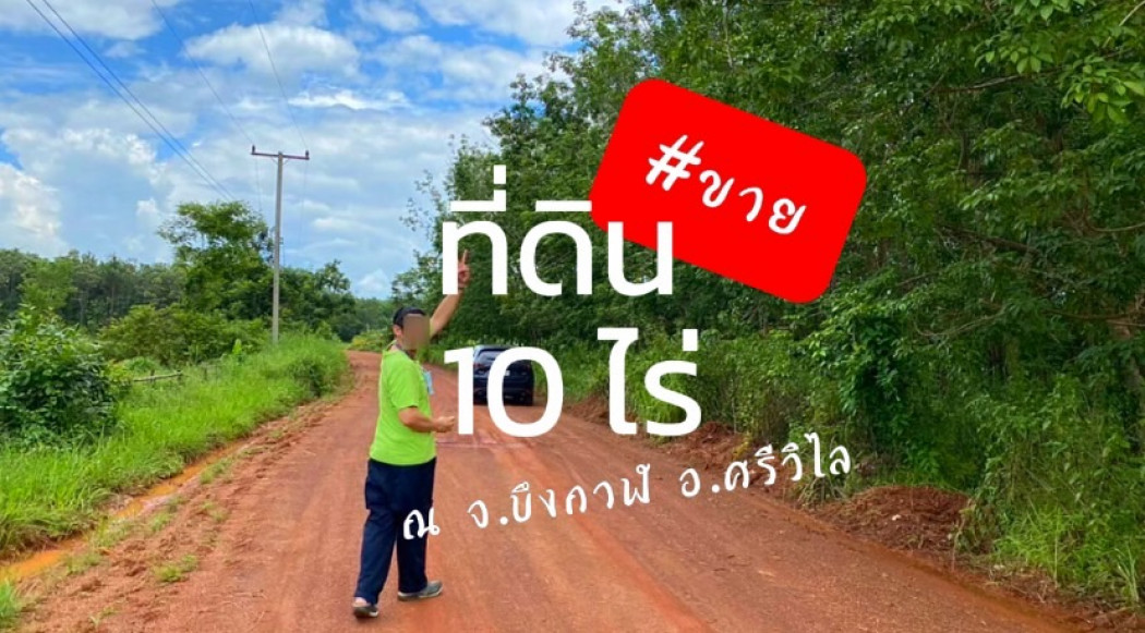 ขาย ที่ดิน บึงกาฬ ศรีวิไล 10 ไร่ 8 งาน อยู่ใกล้แหล่งชุมชน